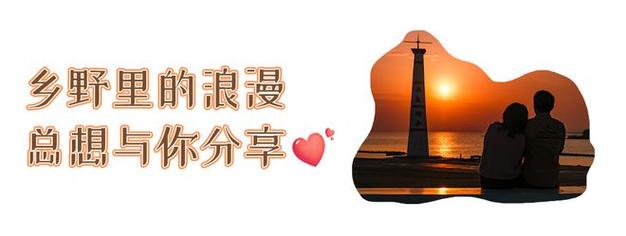 今日特码科普！东京爱情动作故事,百科词条爱好_2024最快更新